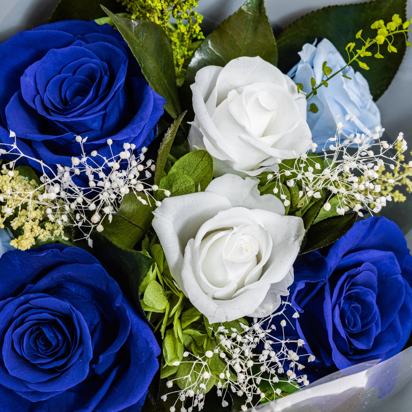 BLU-001 (3 stems)