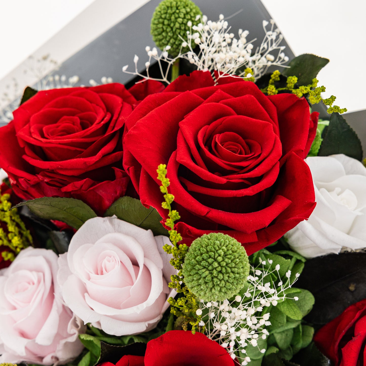 RD-002 (6 stems)