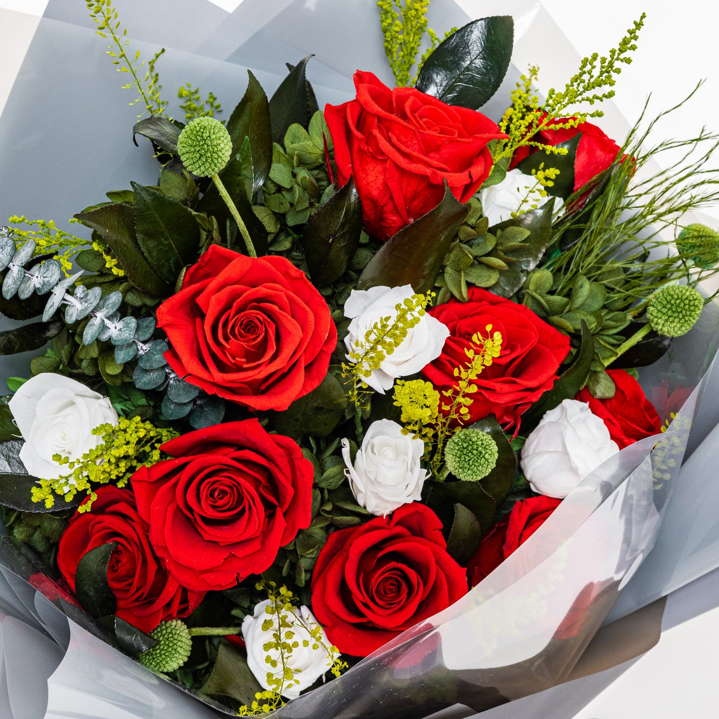 RD-003 (9 stems)