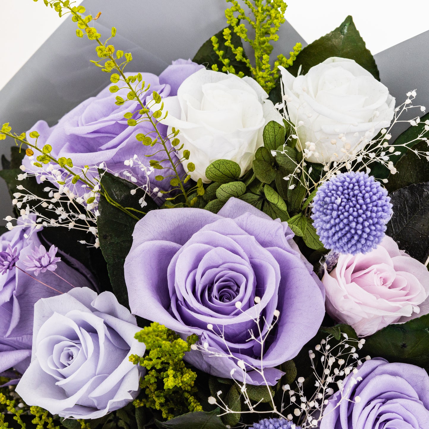 PUR-002 (6 stems)