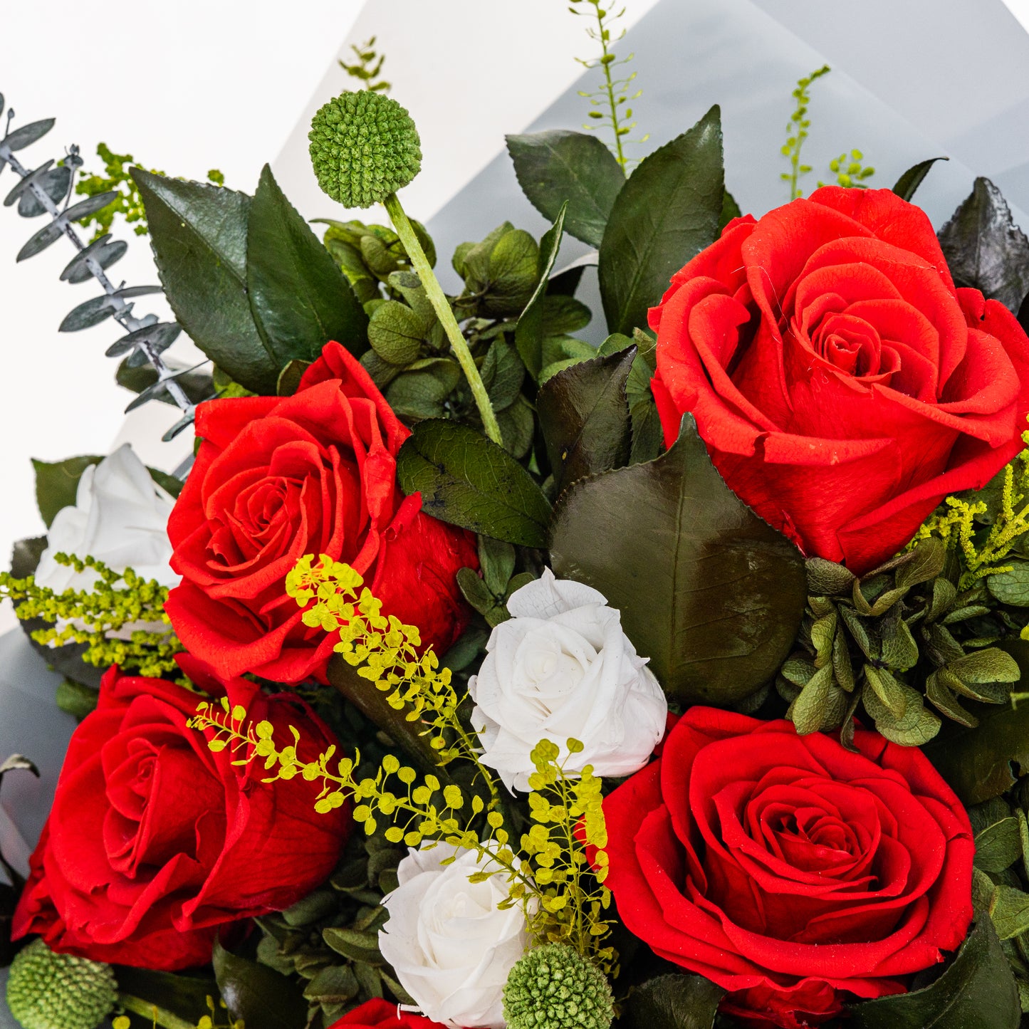 RD-003 (9 stems)
