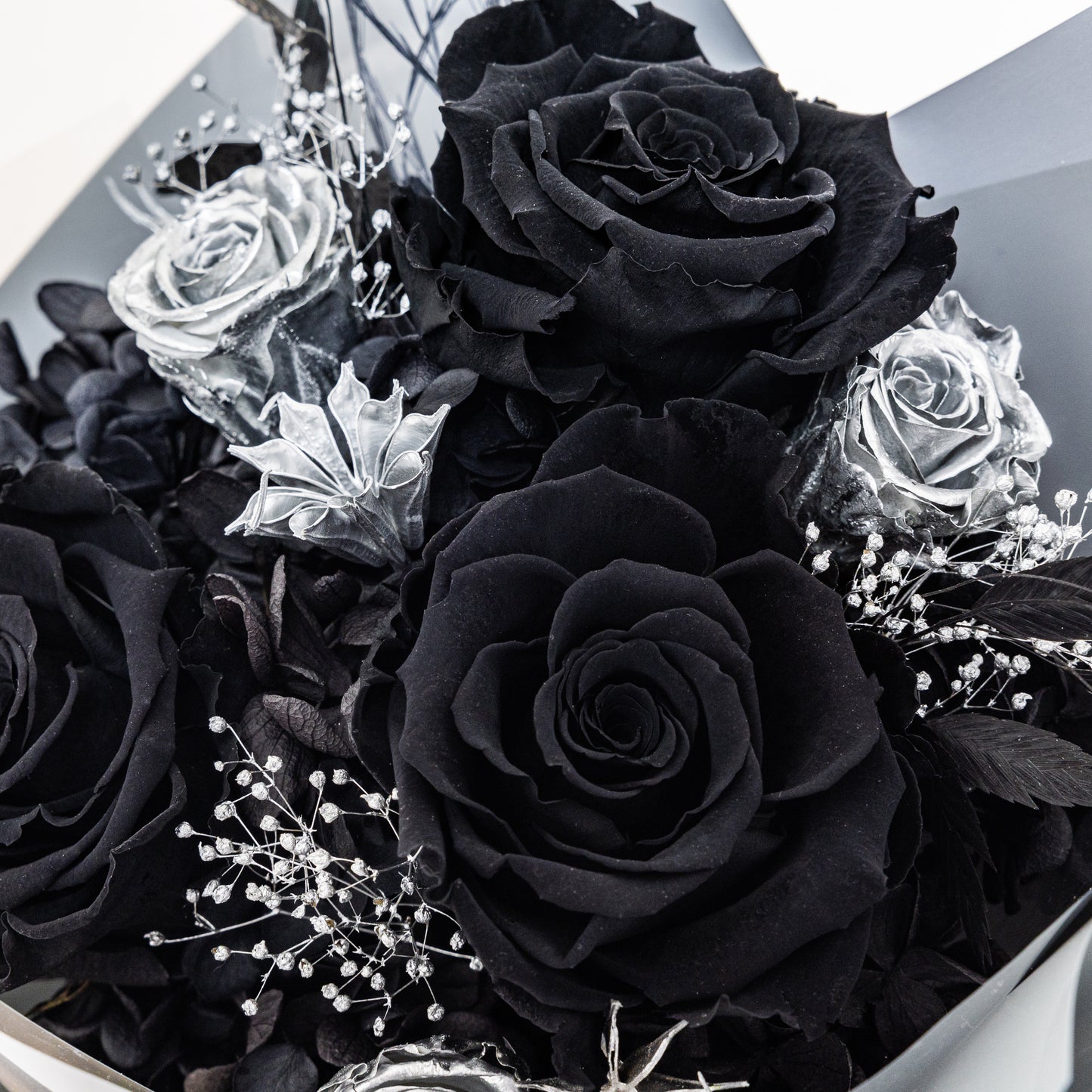 BLK-006 (3 stems)