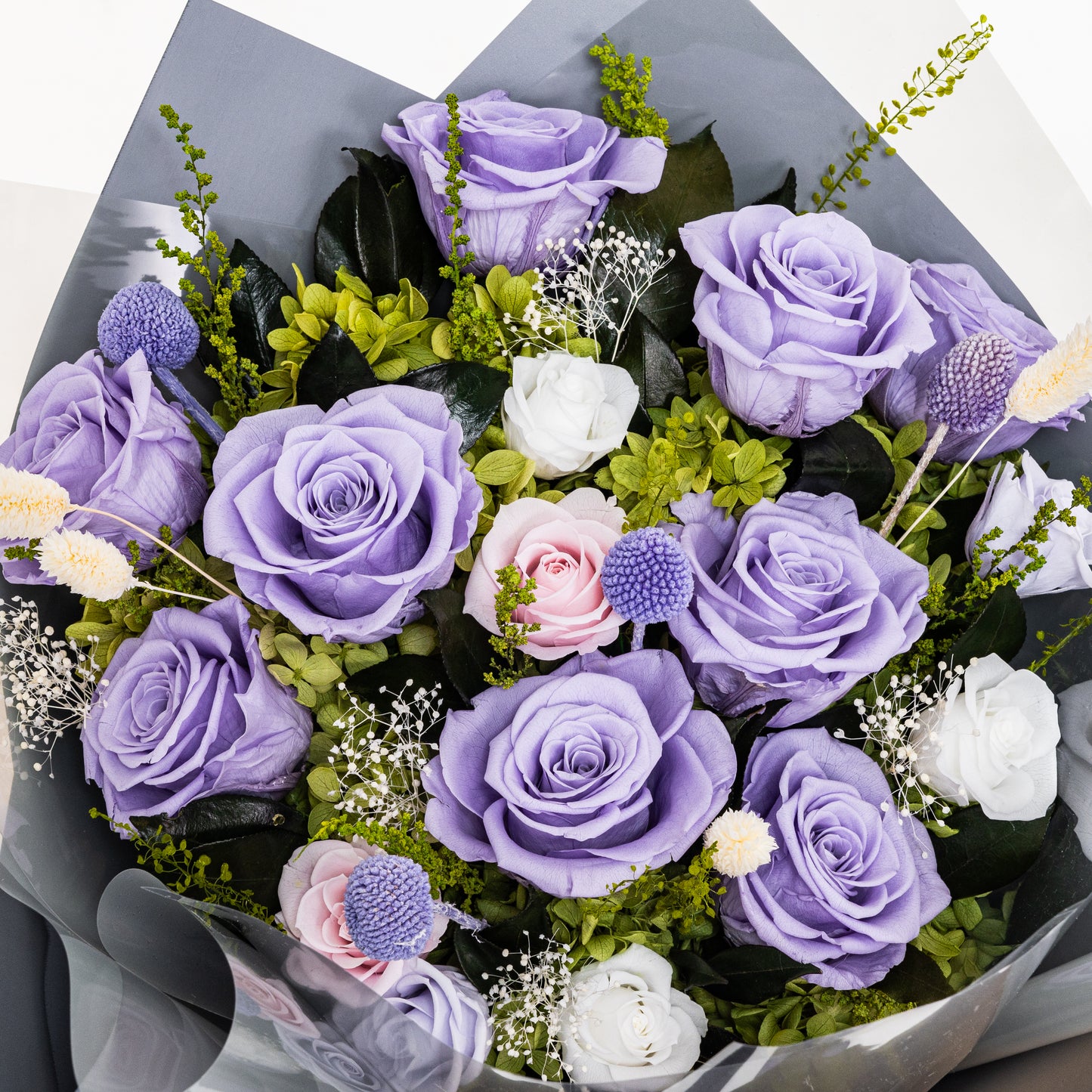 PUR-003 (9 stems)