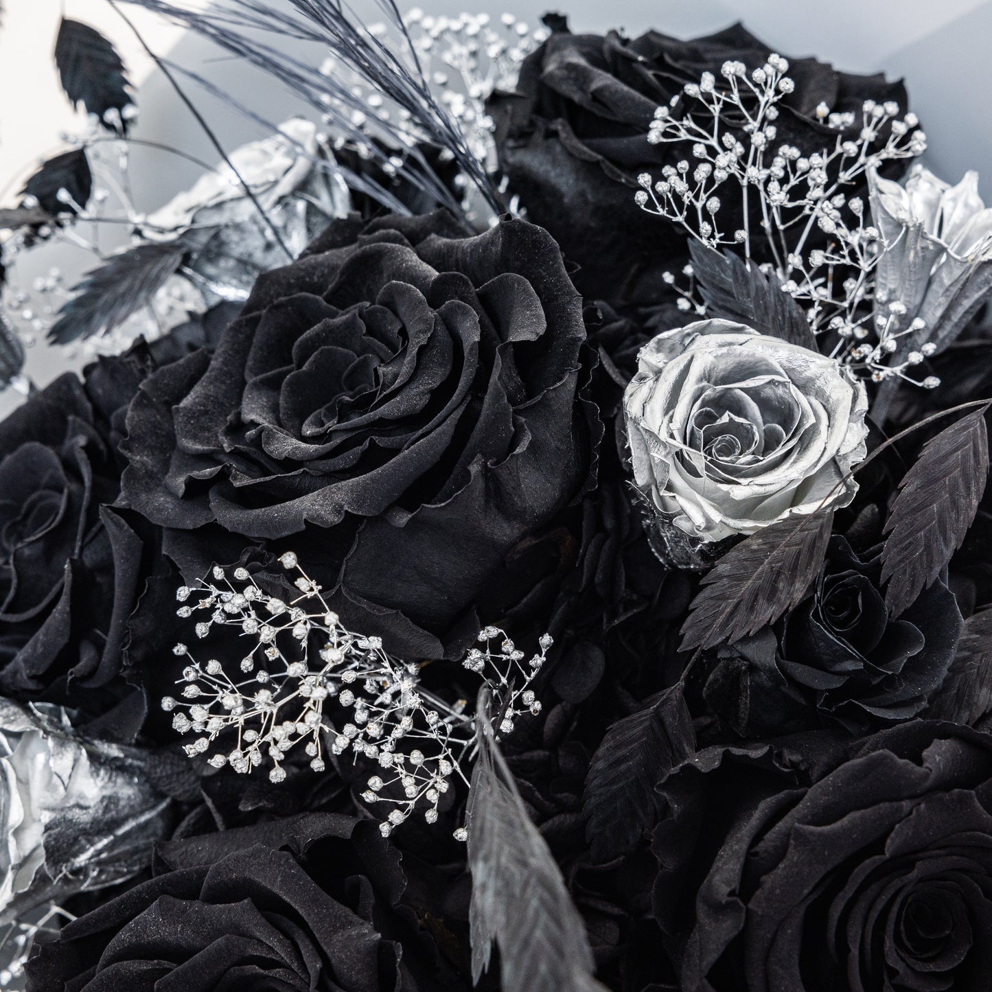 BLK-007 (6 stems)