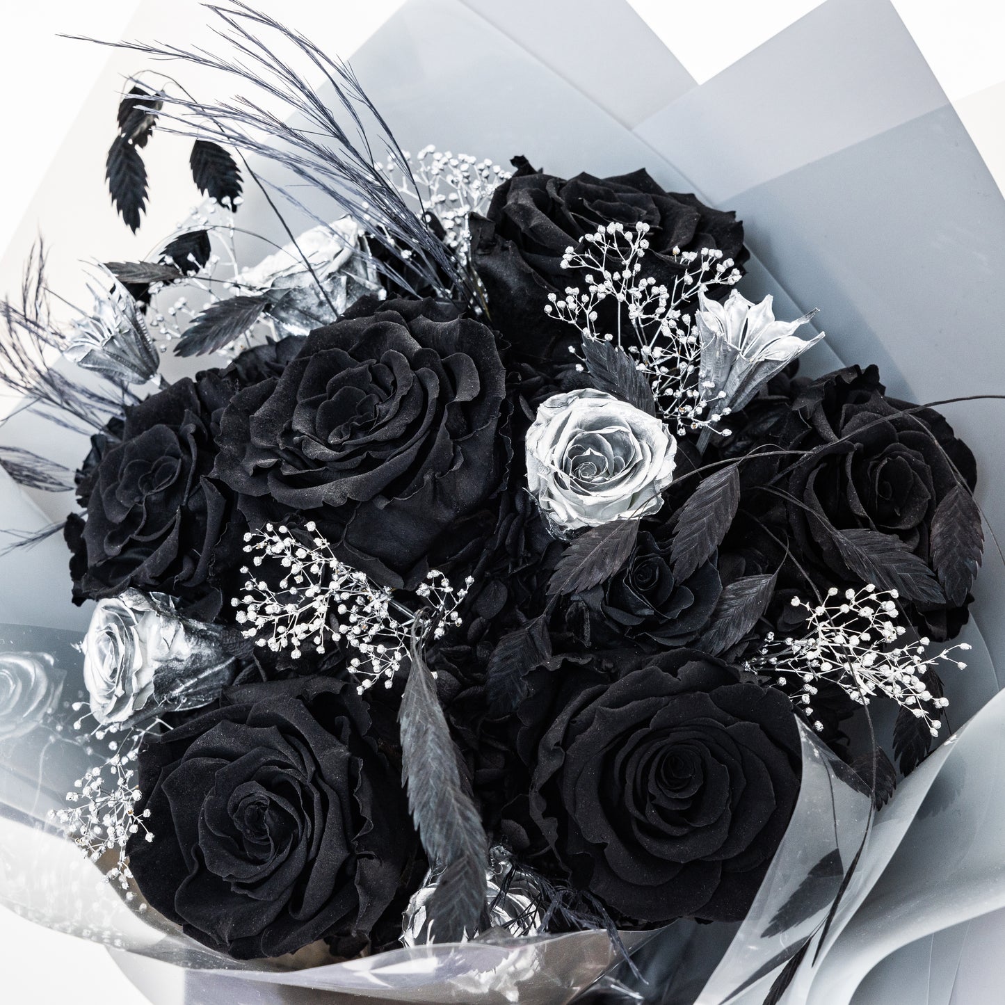 BLK-007 (6 stems)