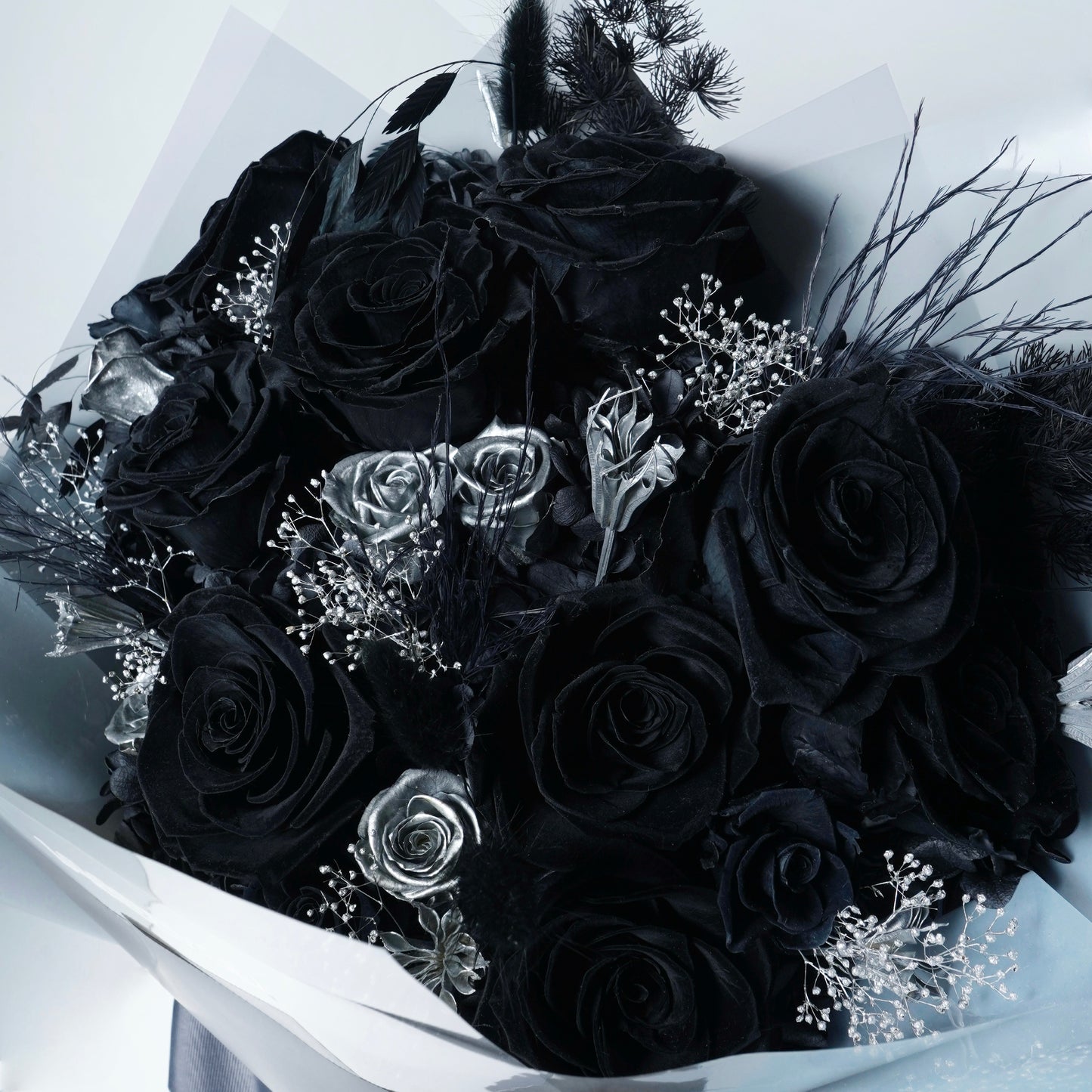 BLK-008 (9 stems)