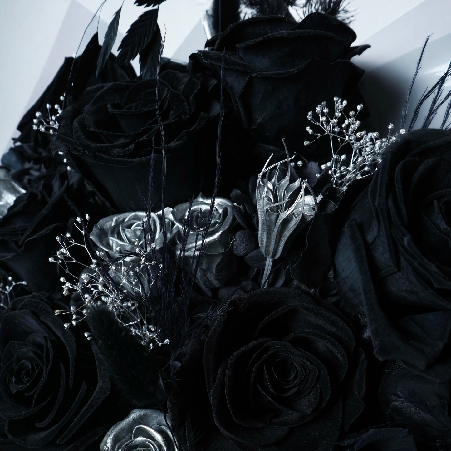BLK-008 (9 stems)