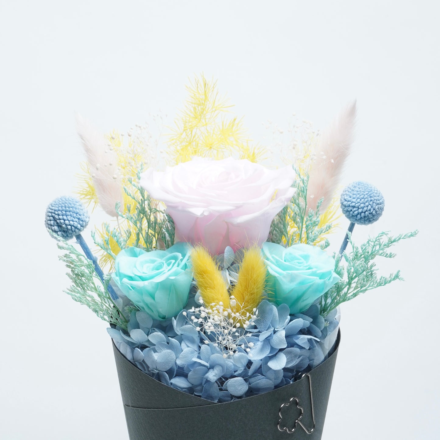 BLOOM BOX-MULTI