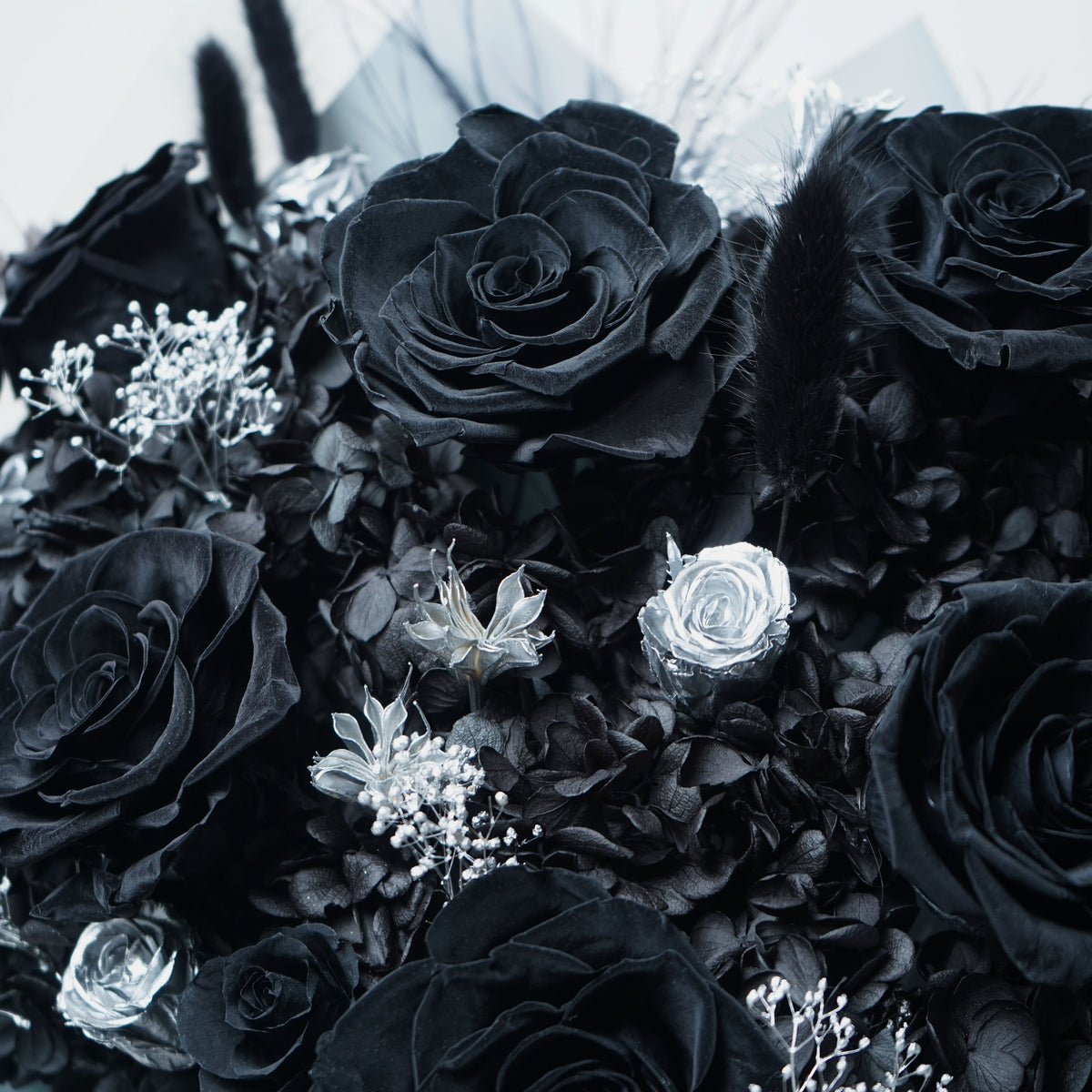 BLK-002(6 stems)