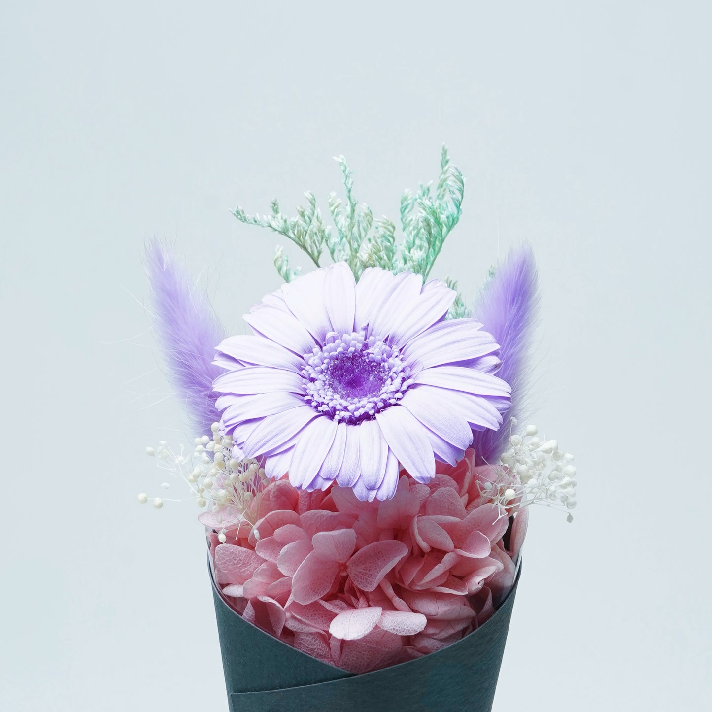 LITTLE SUNFLOWER-PURPLE