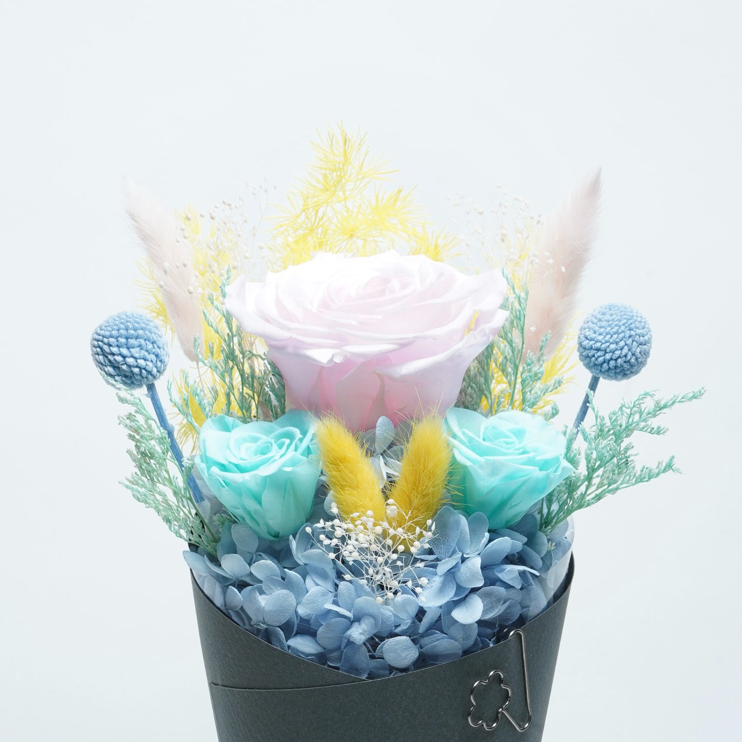 BLOOM BOX-MULTI