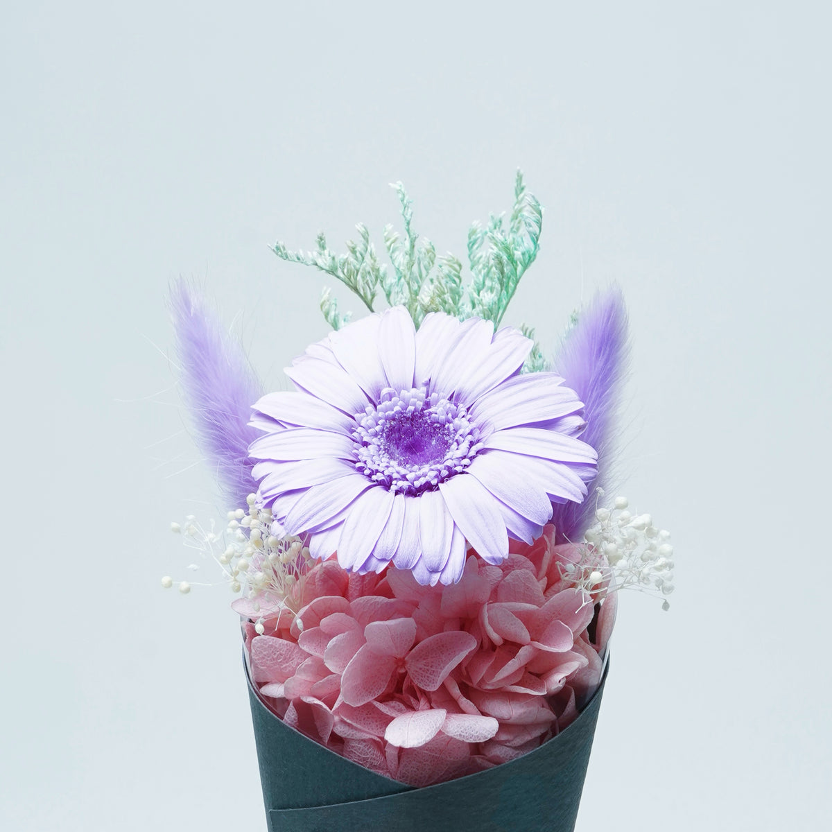 LITTLE SUNFLOWER-PURPLE