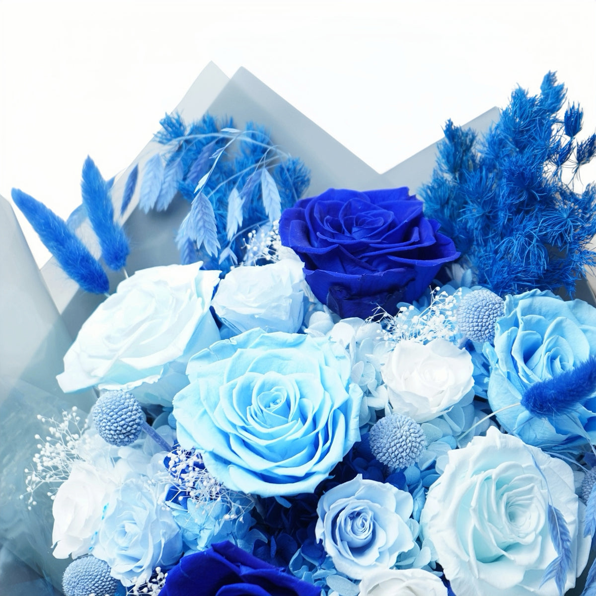 BLU-02 (6 stems)