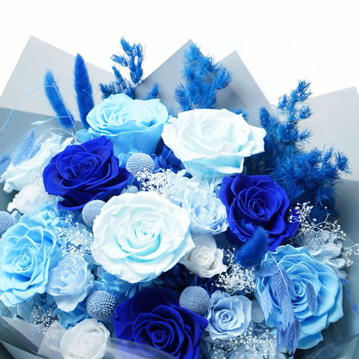BLU-03 (9 stems)