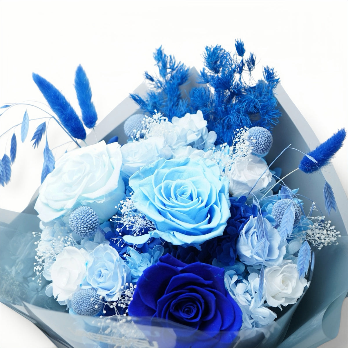 BLU-01 (3 stems)