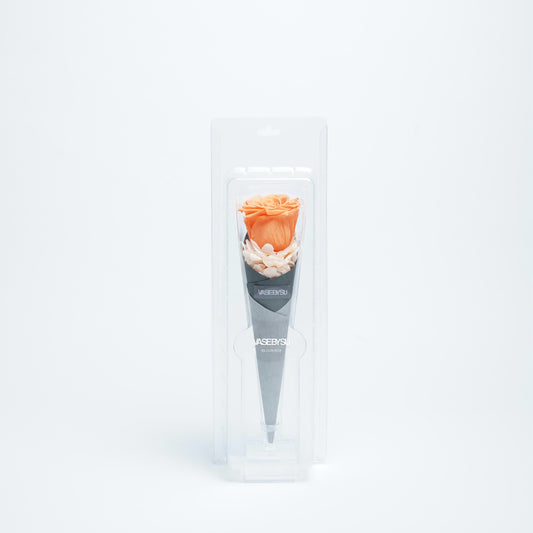 MINI BLOOM BOX(M)-ORANGE